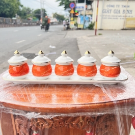 Chum nước, áng nước sứ họa tiết đá hoa cương có nắp 5 ly -  Đỏ