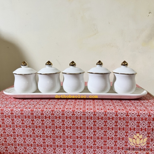 Chum nước, áng nước sứ hoạ tiết Đá Hoa Cương có nắp 5 ly – Màu Trắng