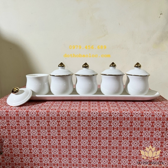 Chum nước, áng nước sứ hoạ tiết Đá Hoa Cương có nắp 5 ly – Màu Trắng